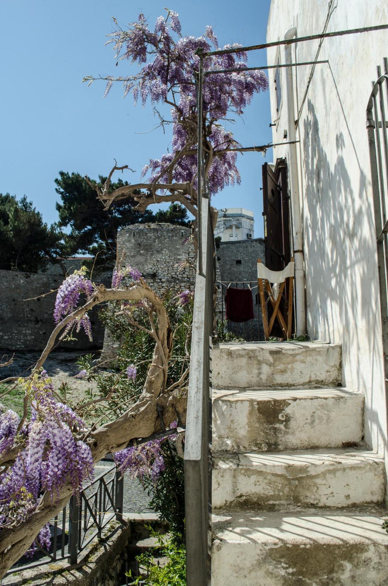 Torre La Mezzaluna Bed & Breakfast Vieste Bagian luar foto